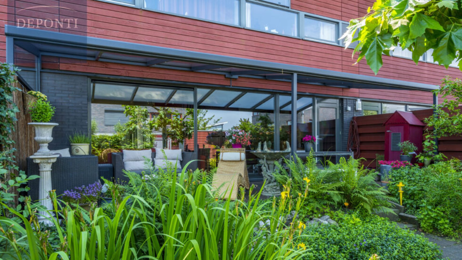 Nebbiolo Garden Shot