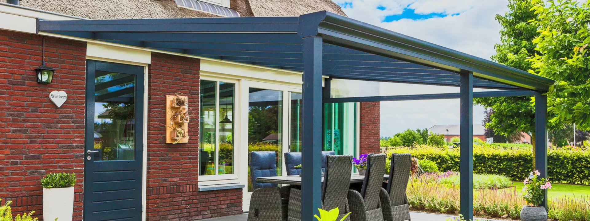 Pigato Sunny Pigato Sunny